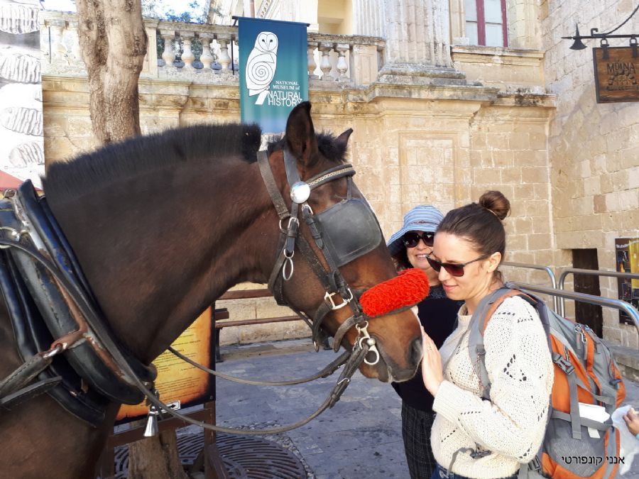 Mdina